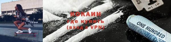 ГАЛЛЮЦИНОГЕННЫЕ ГРИБЫ Горно-Алтайск