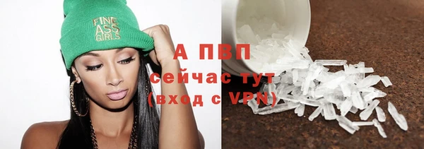 ГАЛЛЮЦИНОГЕННЫЕ ГРИБЫ Горно-Алтайск