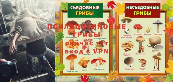 тгк Горнозаводск