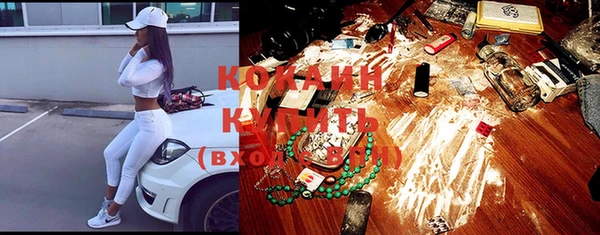 тгк Горнозаводск