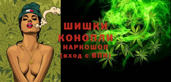 ГАЛЛЮЦИНОГЕННЫЕ ГРИБЫ Горно-Алтайск