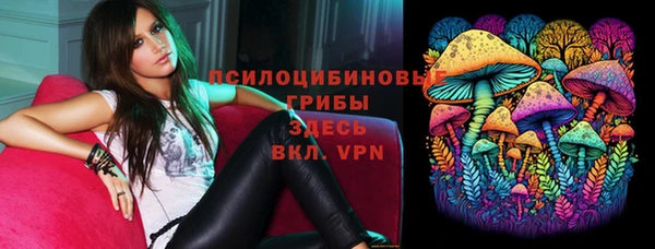 тгк Горнозаводск