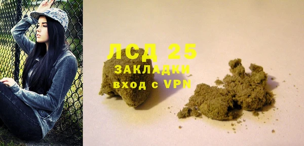 ГАЛЛЮЦИНОГЕННЫЕ ГРИБЫ Горно-Алтайск