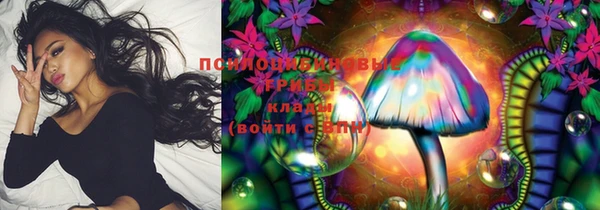 первитин Горняк