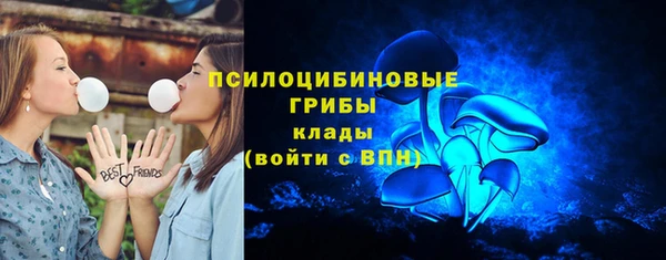 первитин Горняк