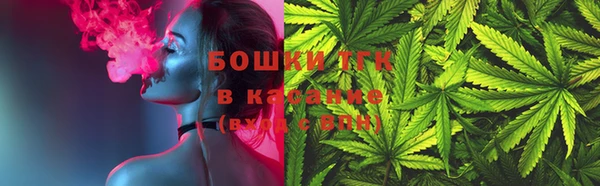 ГАЛЛЮЦИНОГЕННЫЕ ГРИБЫ Горно-Алтайск