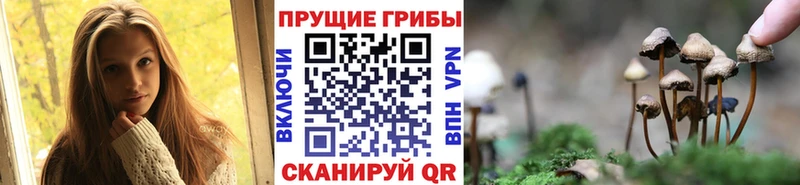 Галлюциногенные грибы мухоморы наркота блэк спрут зеркало Ершов